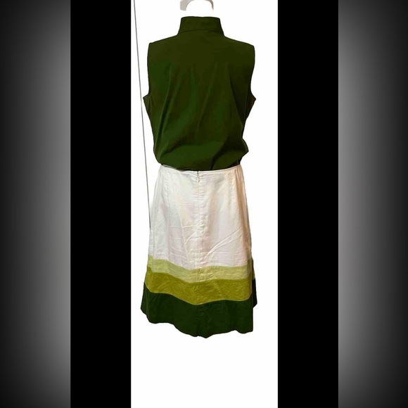 Talbots Ombre Skirt Green White Stripe A Line Pleated Front Skirt Size 8 - Picture 3 of 10